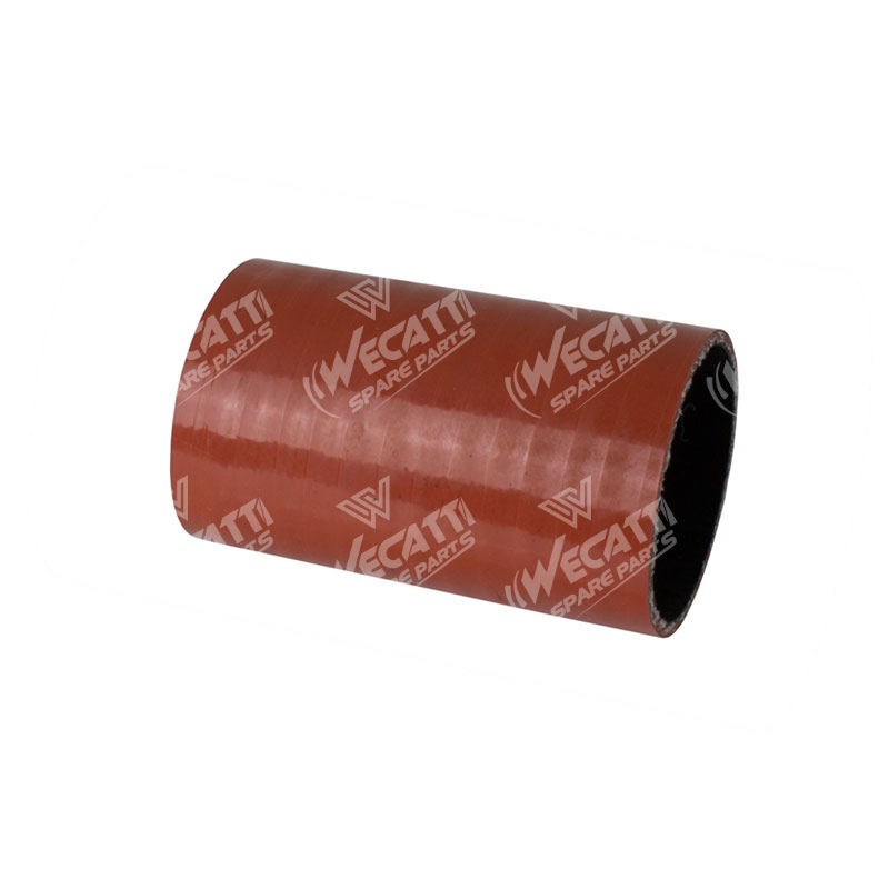 RADIATOR HOSE 117038