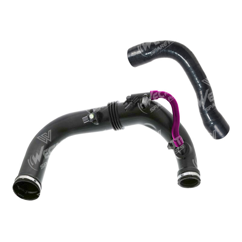 INTAKE PIPE HOSE 203005
