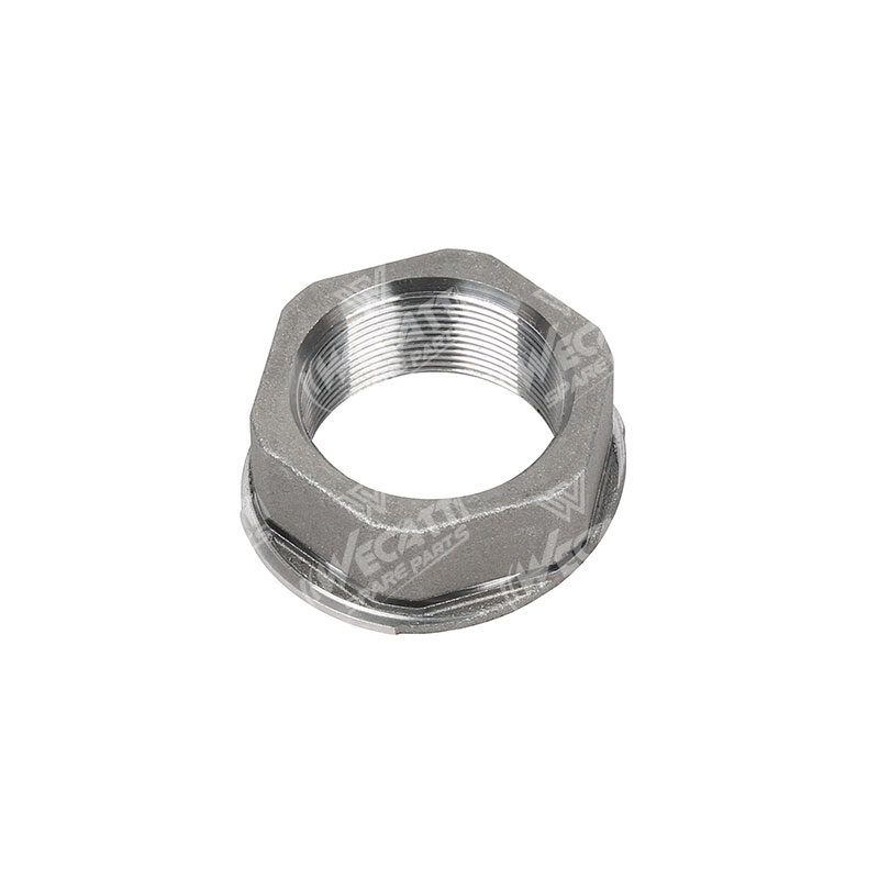 DIFFERENTIAL FLANGE NUT 310031